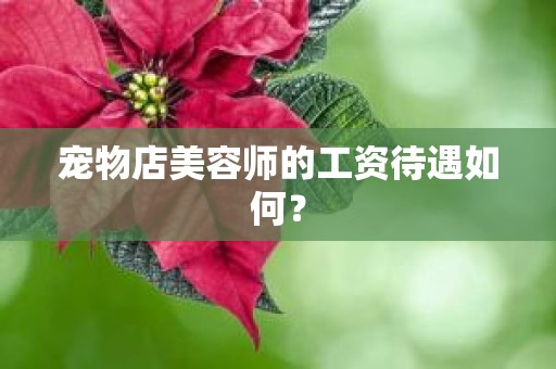 宠物店美容师的工资待遇如何？