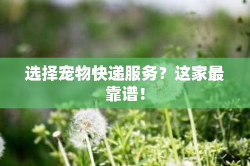 选择宠物快递服务？这家最靠谱！