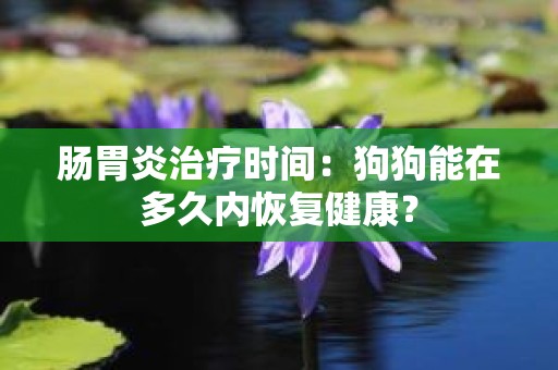肠胃炎治疗时间：狗狗能在多久内恢复健康？