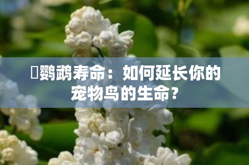 鸮鹦鹉寿命：如何延长你的宠物鸟的生命？