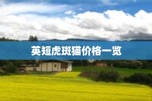 英短虎斑猫价格一览