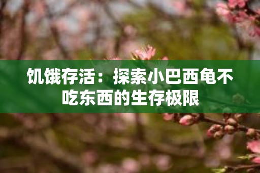 饥饿存活：探索小巴西龟不吃东西的生存极限