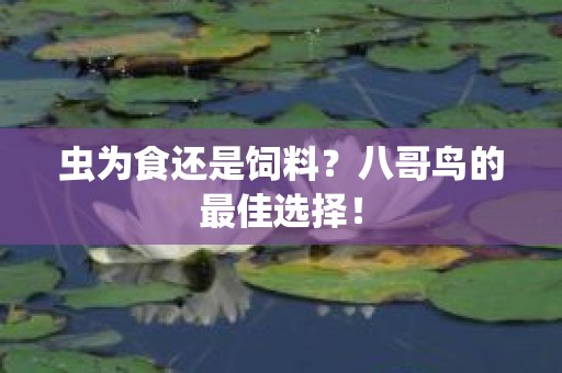 虫为食还是饲料？八哥鸟的最佳选择！