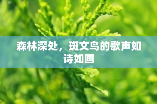 森林深处，斑文鸟的歌声如诗如画