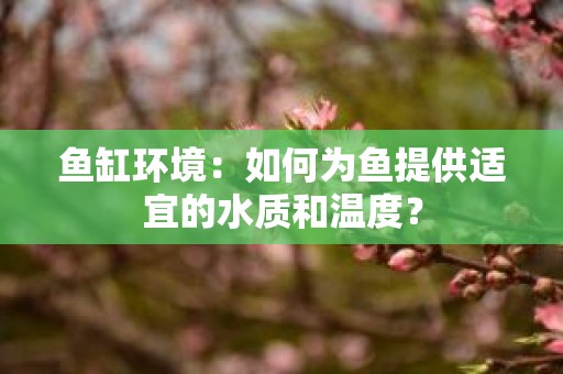 鱼缸环境：如何为鱼提供适宜的水质和温度？