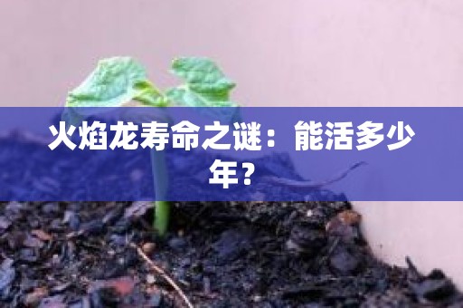 火焰龙寿命之谜：能活多少年？