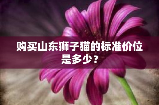 购买山东狮子猫的标准价位是多少？