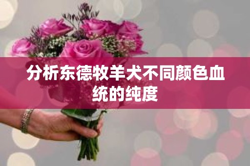 分析东德牧羊犬不同颜色血统的纯度