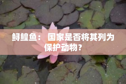 鲟鳇鱼： 国家是否将其列为保护动物？