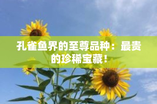 孔雀鱼界的至尊品种：最贵的珍稀宝藏！