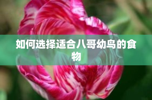 如何选择适合八哥幼鸟的食物