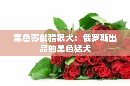 黑色苏俄猎狼犬：俄罗斯出品的黑色猛犬