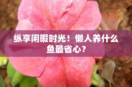 纵享闲暇时光！懒人养什么鱼最省心？