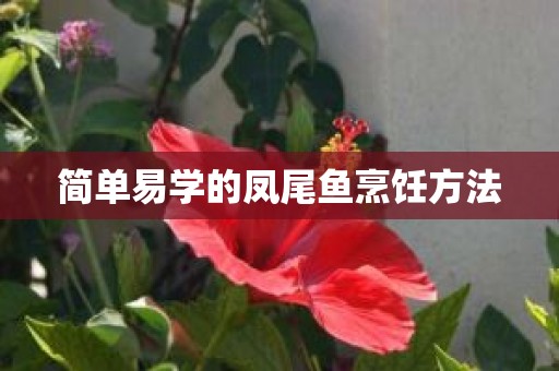 简单易学的凤尾鱼烹饪方法