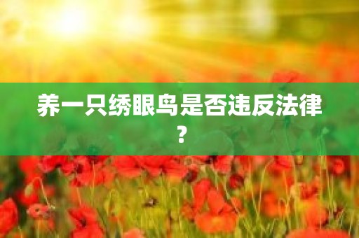养一只绣眼鸟是否违反法律？