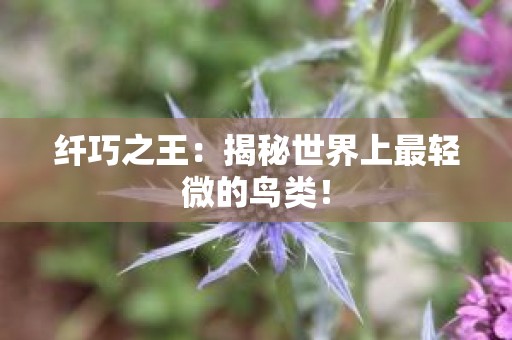 纤巧之王：揭秘世界上最轻微的鸟类！