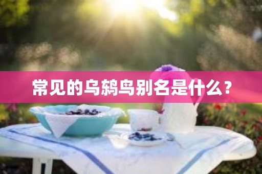 常见的乌鸫鸟别名是什么？