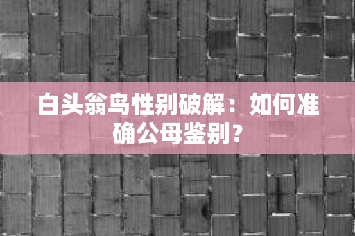 白头翁鸟性别破解：如何准确公母鉴别？