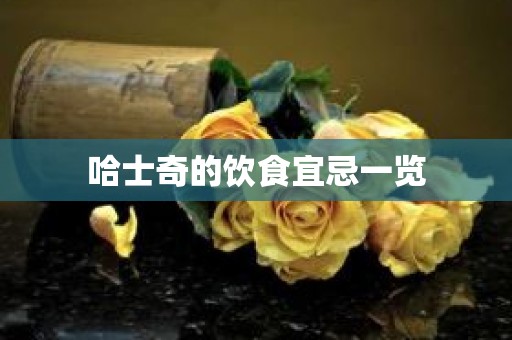 哈士奇的饮食宜忌一览