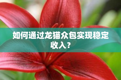 如何通过龙猫众包实现稳定收入？
