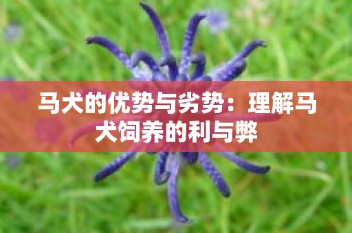 马犬的优势与劣势：理解马犬饲养的利与弊
