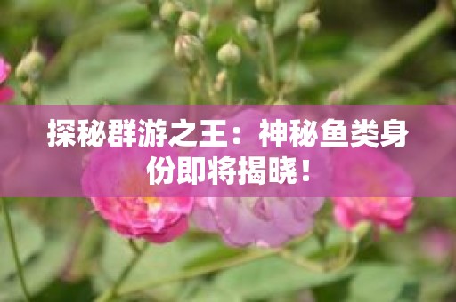 探秘群游之王：神秘鱼类身份即将揭晓！