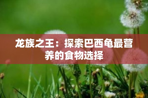 龙族之王：探索巴西龟最营养的食物选择