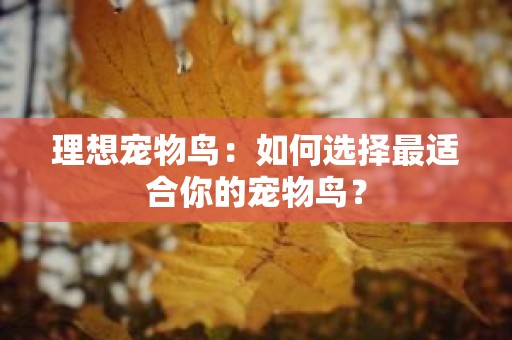 理想宠物鸟：如何选择最适合你的宠物鸟？