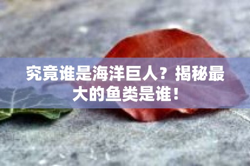 究竟谁是海洋巨人？揭秘最大的鱼类是谁！
