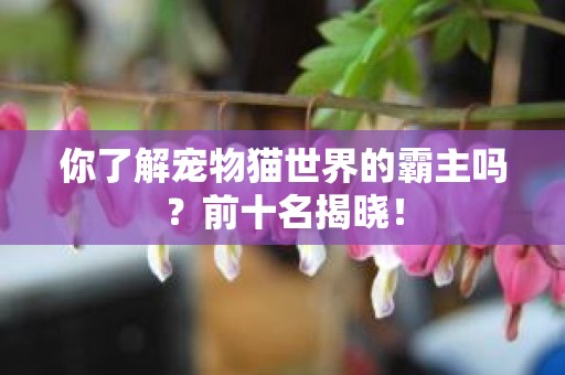 你了解宠物猫世界的霸主吗？前十名揭晓！