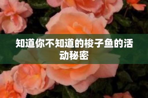 知道你不知道的梭子鱼的活动秘密