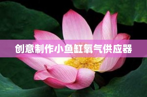 创意制作小鱼缸氧气供应器