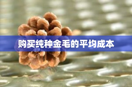 购买纯种金毛的平均成本