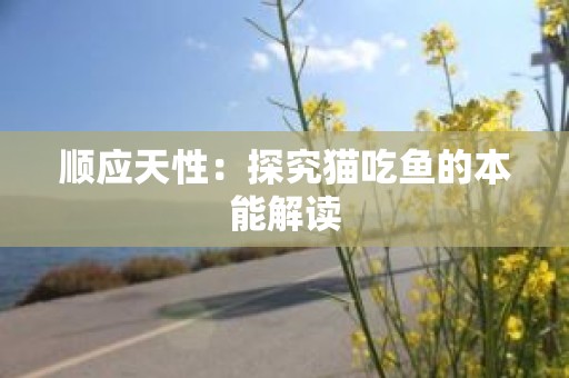 顺应天性：探究猫吃鱼的本能解读