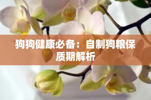 狗狗健康必备：自制狗粮保质期解析