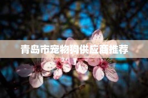 青岛市宠物狗供应商推荐