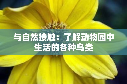与自然接触：了解动物园中生活的各种鸟类