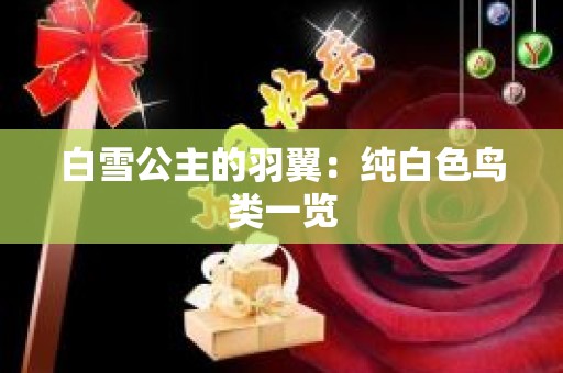 白雪公主的羽翼：纯白色鸟类一览