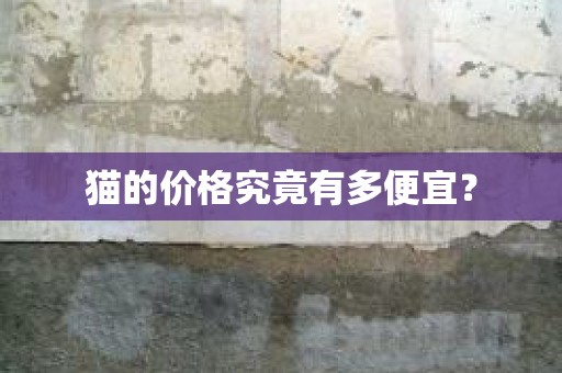 猫的价格究竟有多便宜？