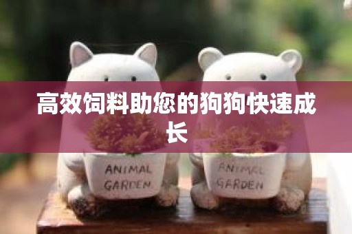 高效饲料助您的狗狗快速成长