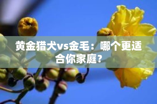 黄金猎犬vs金毛：哪个更适合你家庭？