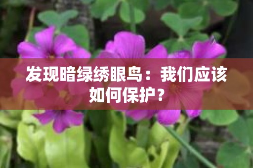 发现暗绿绣眼鸟：我们应该如何保护？
