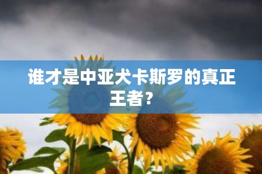 谁才是中亚犬卡斯罗的真正王者？