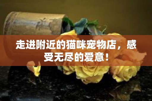 走进附近的猫咪宠物店，感受无尽的爱意！