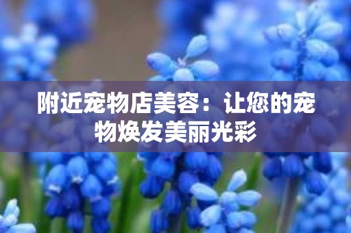 附近宠物店美容：让您的宠物焕发美丽光彩