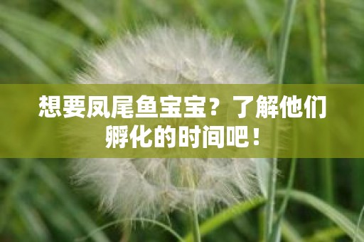 想要凤尾鱼宝宝？了解他们孵化的时间吧！