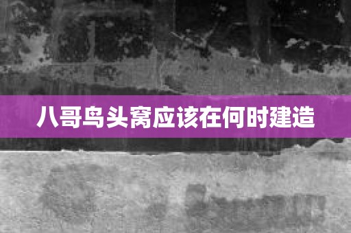 八哥鸟头窝应该在何时建造