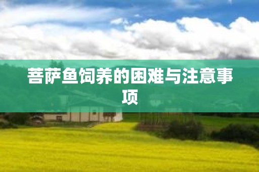 菩萨鱼饲养的困难与注意事项