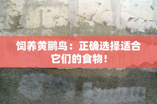 饲养黄鹂鸟：正确选择适合它们的食物！