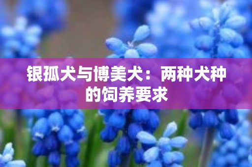 银孤犬与博美犬：两种犬种的饲养要求